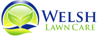 Steve Welsh Logo